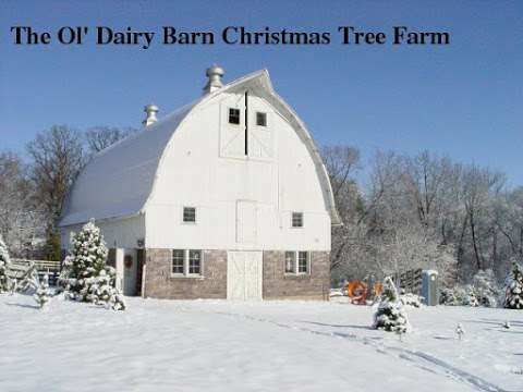 The Ol' Dairy Barn Christmas Tree Farm